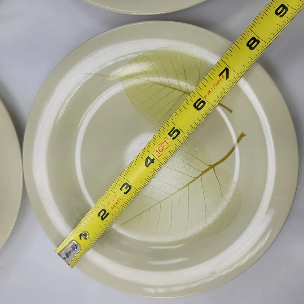 Pier 1 Aspen Stoneware Salad Dessert Plates Set of 4